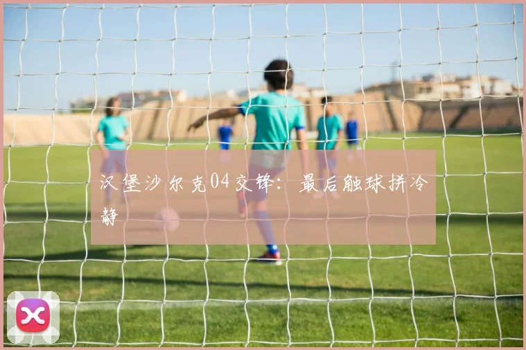 汉堡沙尔克04交锋:最后触球拼冷静
